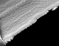 graphene "cloth" precipitated from nickel