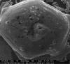 splat-cooled nickel with graphene bubbles and rifts